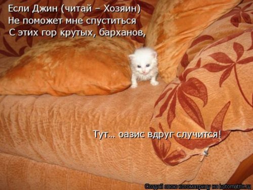 Свежая котоматрица (29 фото)