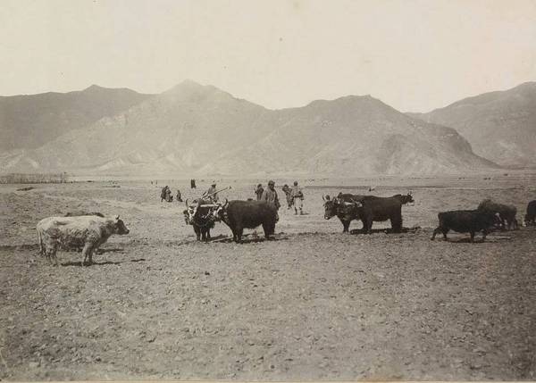 Приключения первых фотографий Тибета в 1900 году national geographic,Гомбожаб Цыбиков,история,личности,Овше Норзунов,Пётр Кузьмич Козлов,путешествия,Тибет