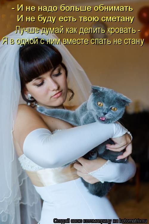 Свежая котоматрица (29 фото)