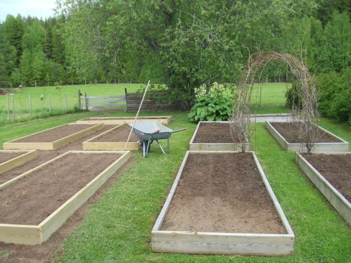 Как сделать грядки на даче красивыми, чтобы они не портили внешний вид участка дача,сад и огород,советы огороднику