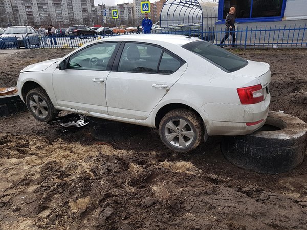 Любитель парковки на газоне купчино, лента, авто