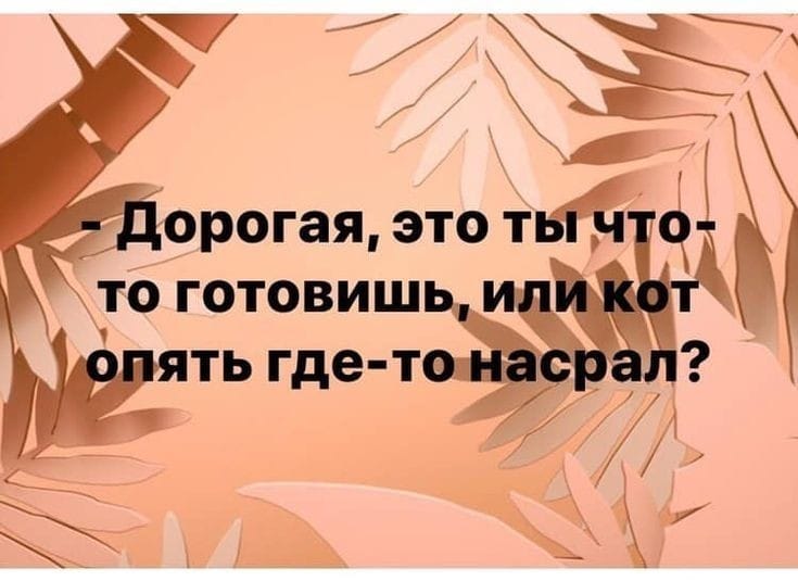 Если вы знакомитесь с красивой девушкой, не говорите сразу, что вы ее недостойны… Юмор,приколы