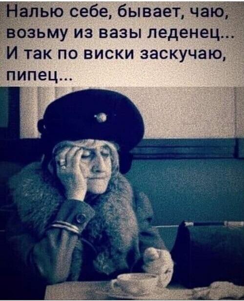 Самые лучшие забавные картинки Самые лучшие забавные картинки