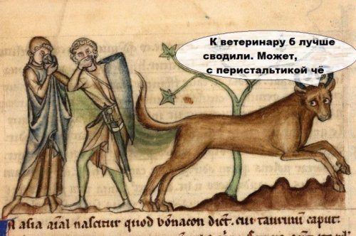Такие средневековые приколы Такие средневековые приколы