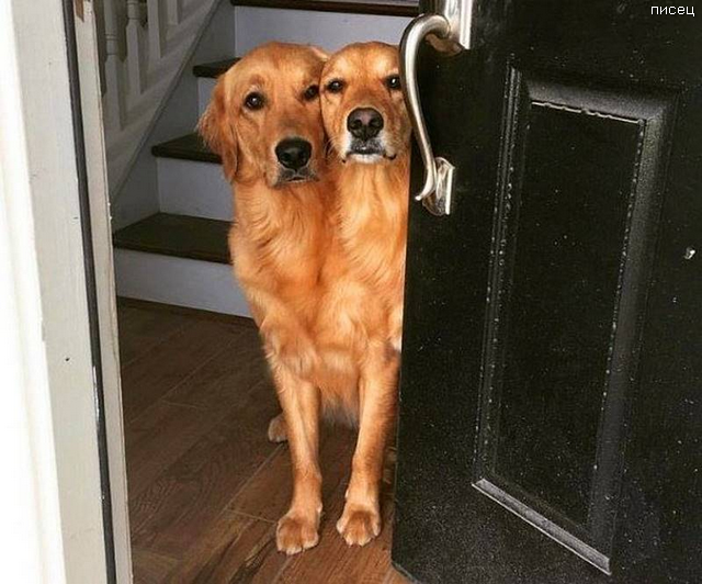 Офигенный обман зрения. Суперхит! Офигенный обман зрения. Суперхит! смешные картинки