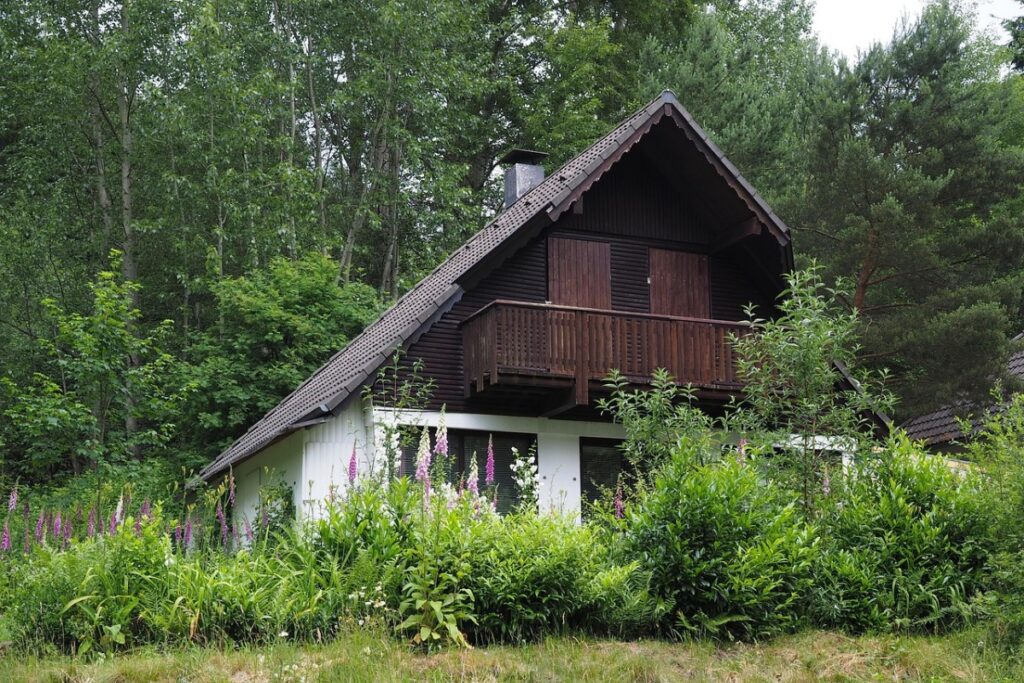 Дом наполнен хорошей энергией: 6 верных признаков