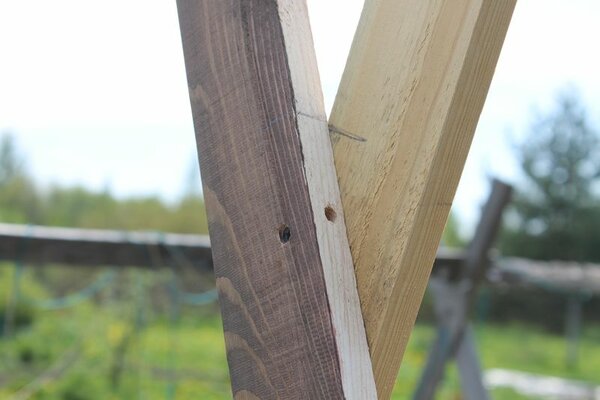 Недорогое укрытие-вигвам для теплолюбивых овощей Недорогое укрытие-вигвам для теплолюбивых овощей самоделкин