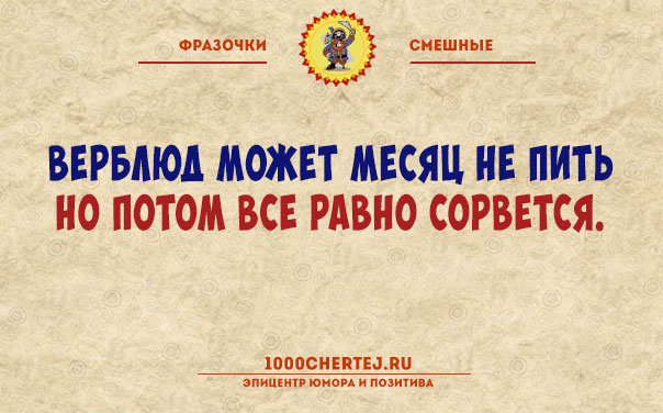 Фразочки смешные на все выходные) 