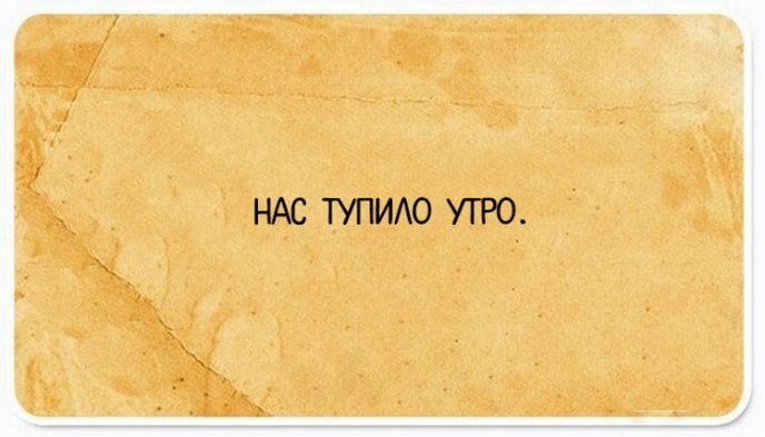 Смешные строки о жизни 