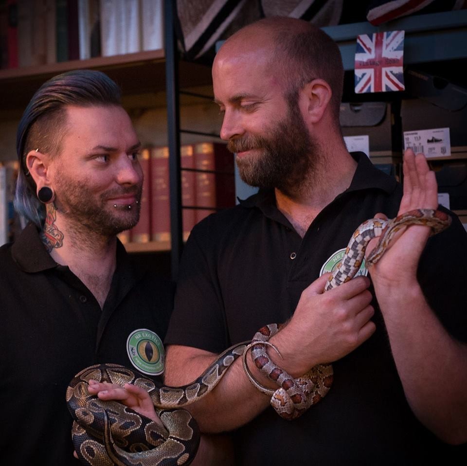 У любителя зверушек изъяли 113 экзотических домашних животных после ссоры с женихом У любителя зверушек изъяли 113 экзотических домашних животных после ссоры с женихом животные