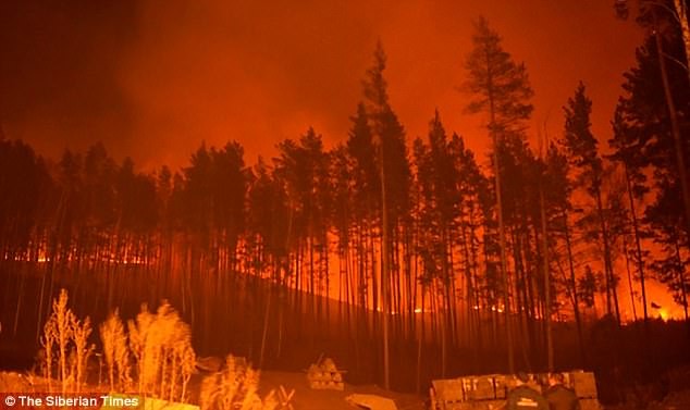 Жители жаловались на удушье и гарь Железногорск, лес, пожар