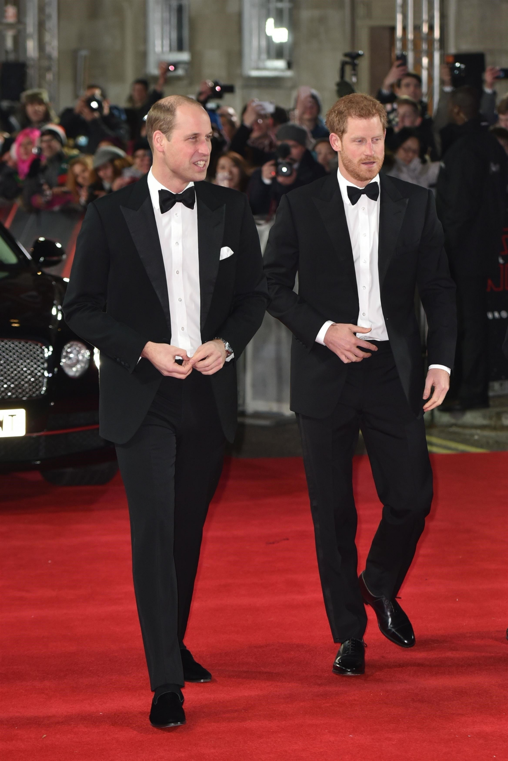 Принцы Уильям и Гарри, 2018