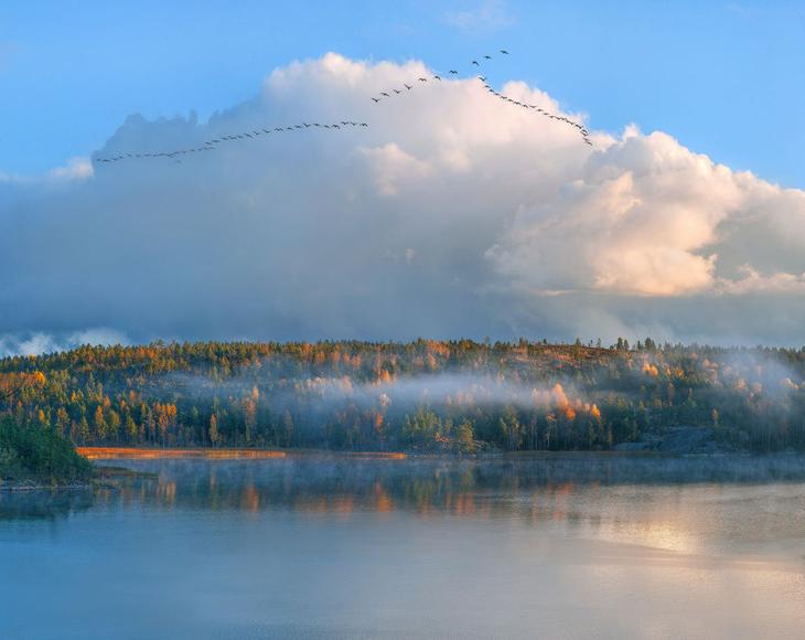 . Феерия цвета в работах Фёдора Лашкова. Фото с сайта NewPix.ru