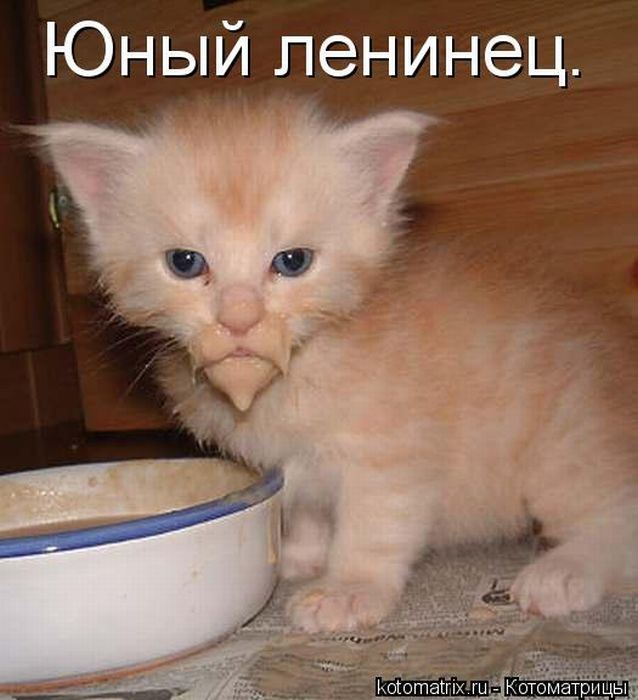 Мысли вслух :)