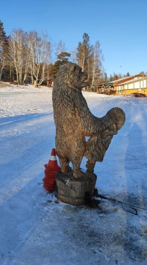 Показалось... наверное...