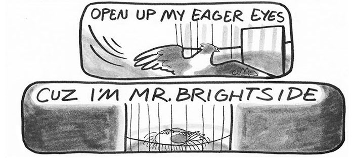 pigeon-comics-mr-brightside-the-killers-(3)a