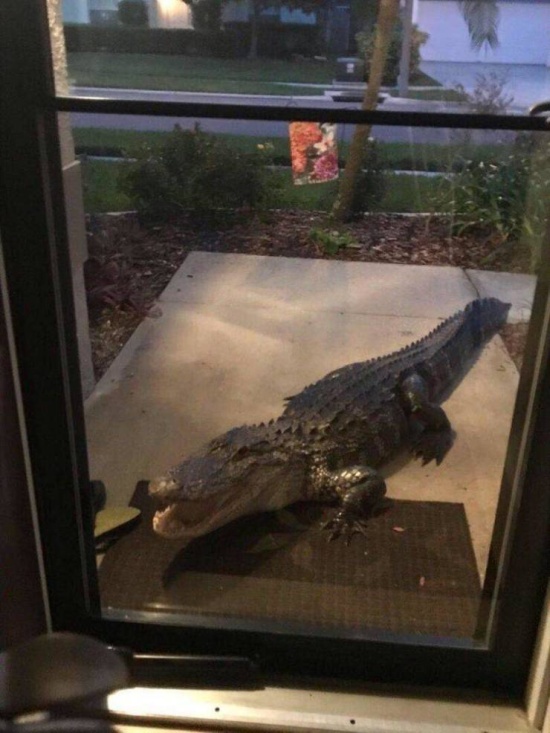 Подборка прикольных картинок Подборка прикольных картинок смешные картинки