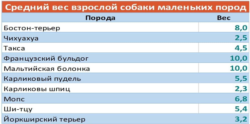 Вес взрослой собаки. Вес средней собаки взрослой. Средний вес взрослого. Средний вес маленьких собак.