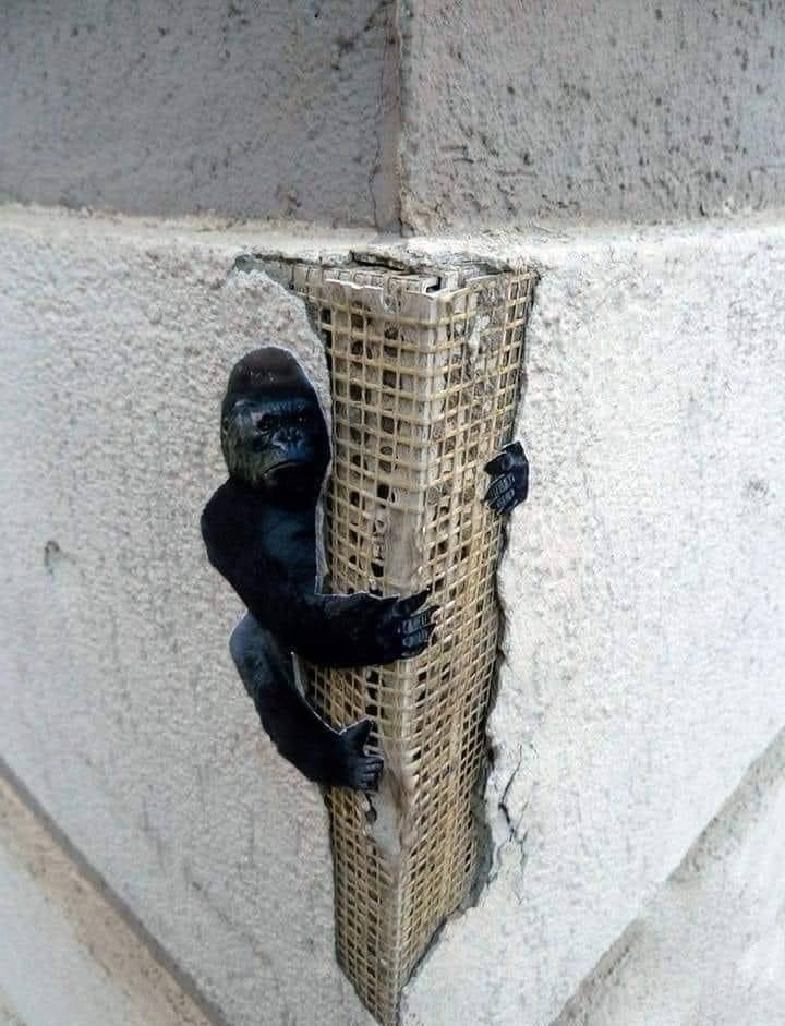 Подборка прикольных картинок  приколы,смешные картинки,юмор