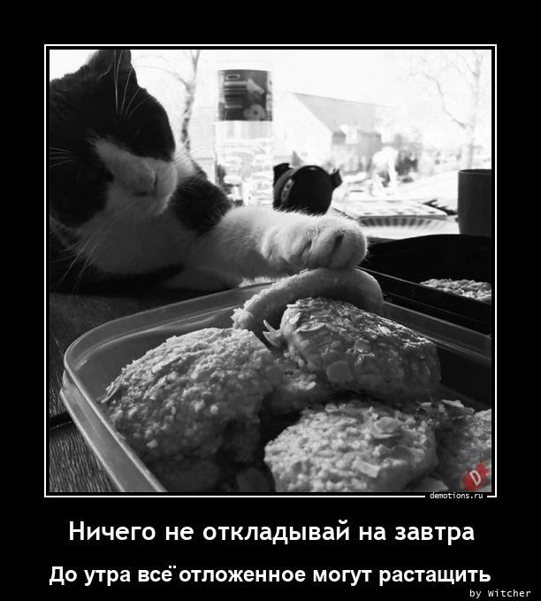 Демотиваторы для всех: «Чё вылупился?» Демотиваторы для всех: «Чё вылупился?»