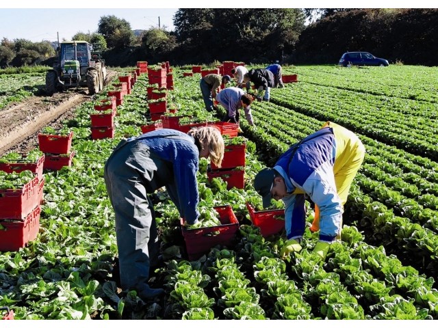 Взгляд из Польши: почему Варшава поддерживает Киев геополитика