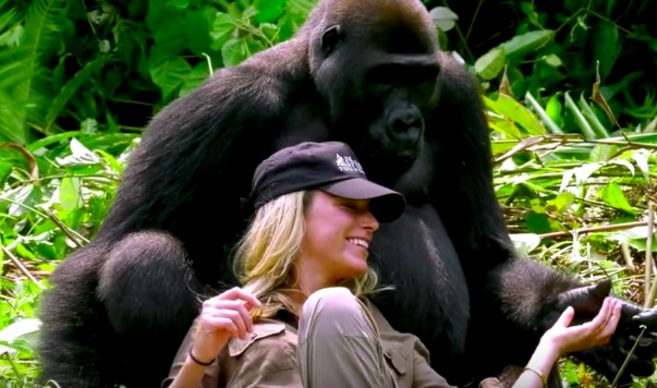 15-gorilla-cuddle