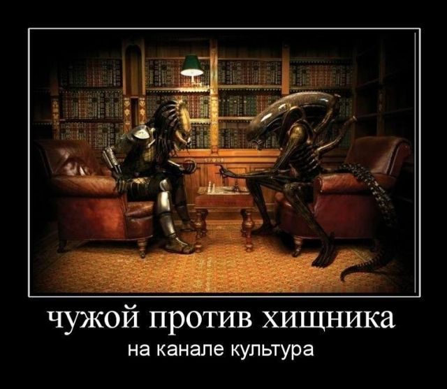 Лучшие демотиваторы!