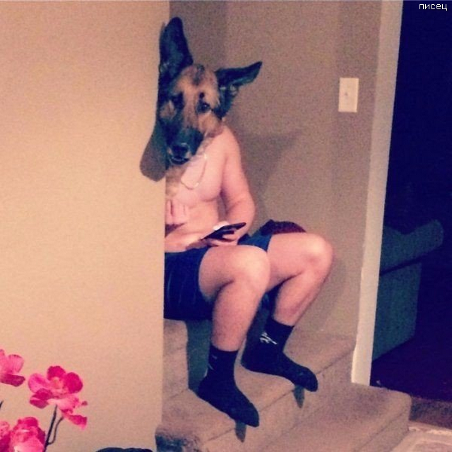 Офигенный обман зрения. Суперхит! Офигенный обман зрения. Суперхит! смешные картинки