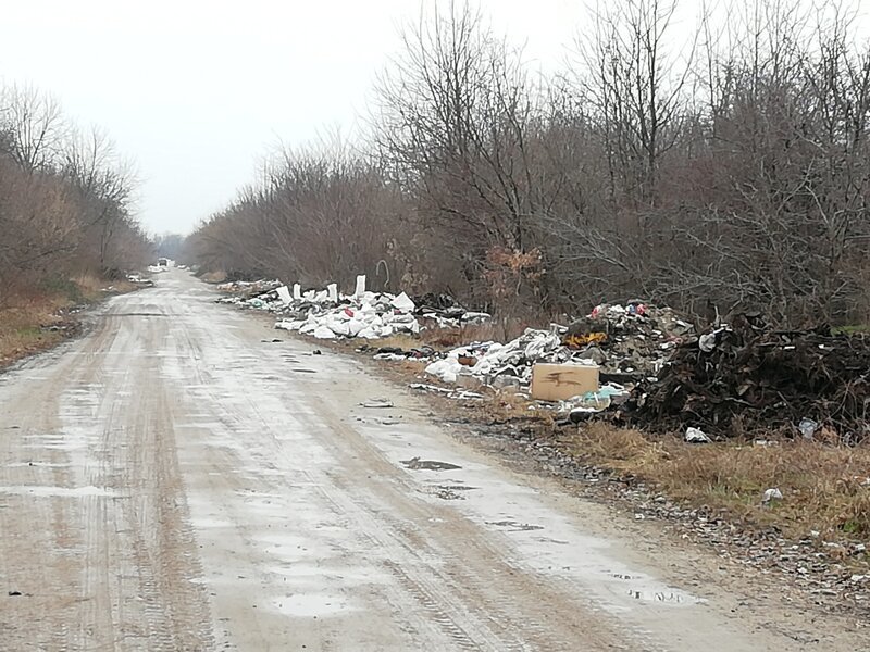 Про мусорный коллапс в Краснодаре Про мусорный коллапс в Краснодаре