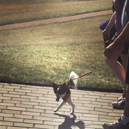 Что ты такое?! Что ты такое?!