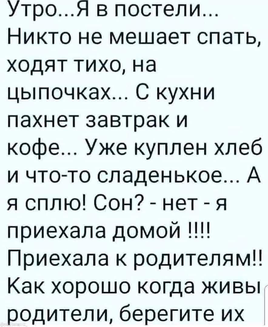 Яркие шутки и анекдоты для теплого настроения 