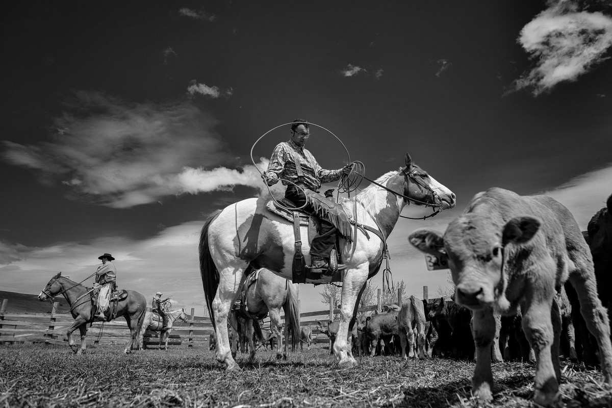 Удивительная жизнь канадских ранчо Канада,ранчо,тревел-фото