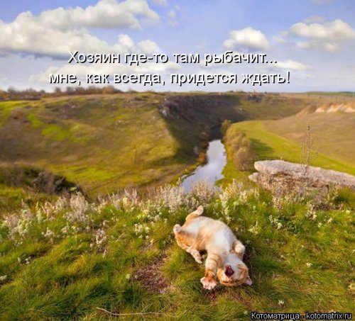 Самая убойная котоматрица 