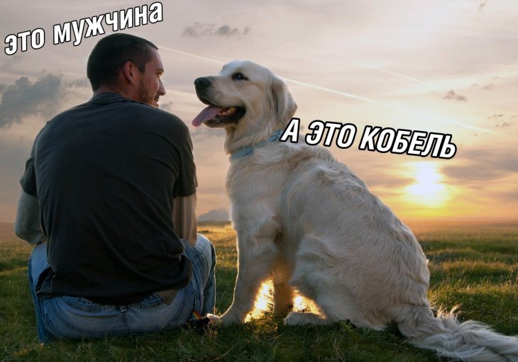 Мужики, хватит это терпеть! Мужики, хватит это терпеть!