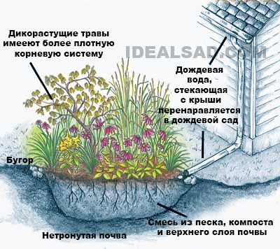 Дождевая вода на даче: сбор, отвод и использование дождевой, отвода, дождевую, можно, дренажа, участке, крыши, более, участка, только, лучше, просто, отвести, собрать, количество, фундамента, собой, такой, сделать, систему