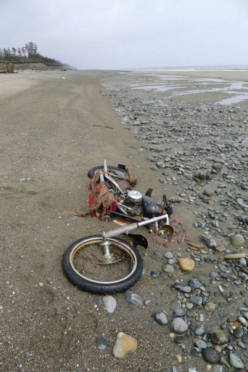 Harley-Davidson, который самостоятельно пересёк Тихий океан мото