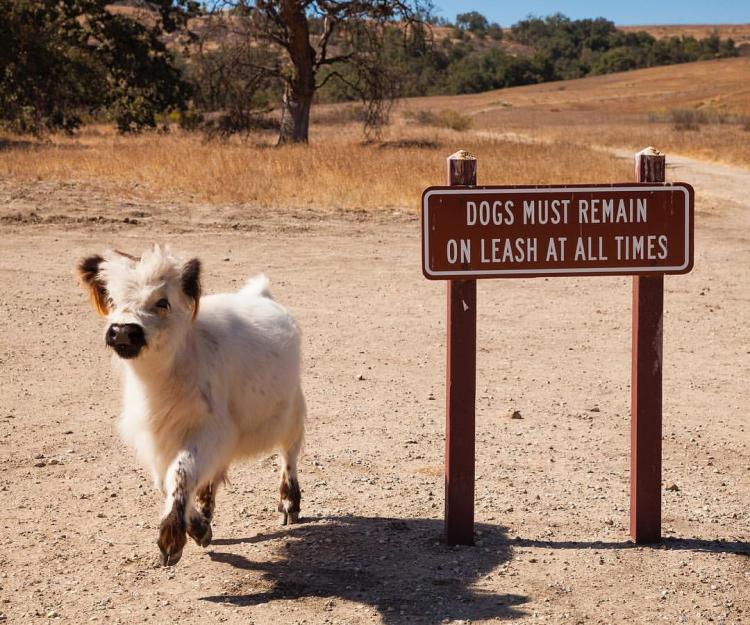 Лекарство от беспросветности Лекарство от беспросветности