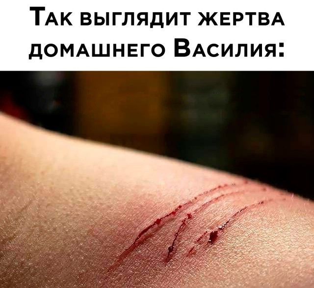 Подборка прикольных картинок  приколы,смешные картинки,юмор