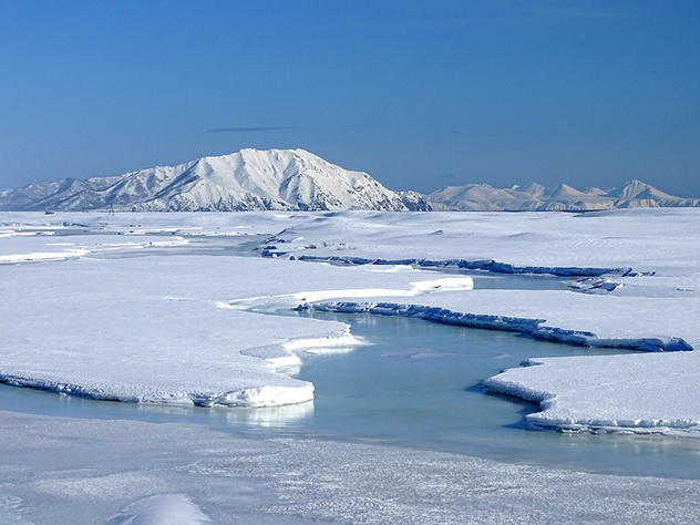 Под лед Куршского залива провалилась под лед «Ока»