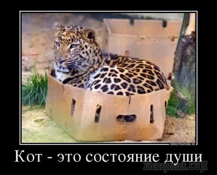 Мам, когда я вырасту, мы с Витькой поженимся…