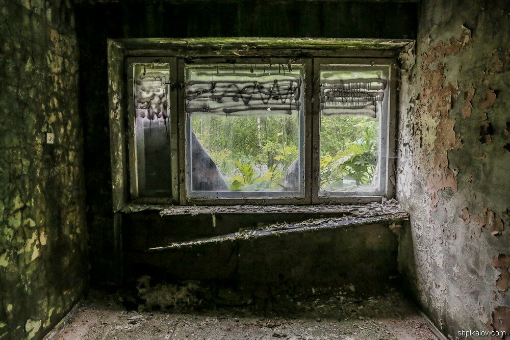 Фантастические твари в подмосковном лагере Фантастические твари в подмосковном лагере архитектура,путешествия,Россия