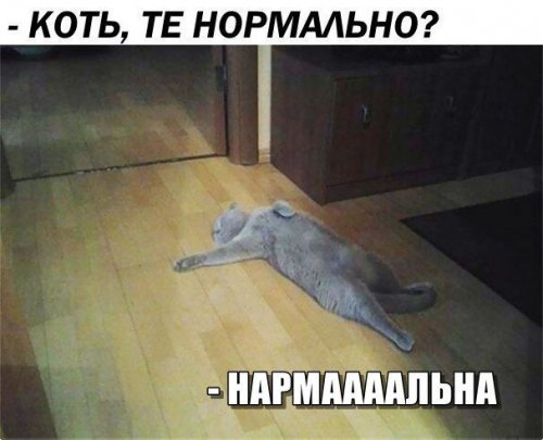 Прикольные картинки для всех (50 шт)