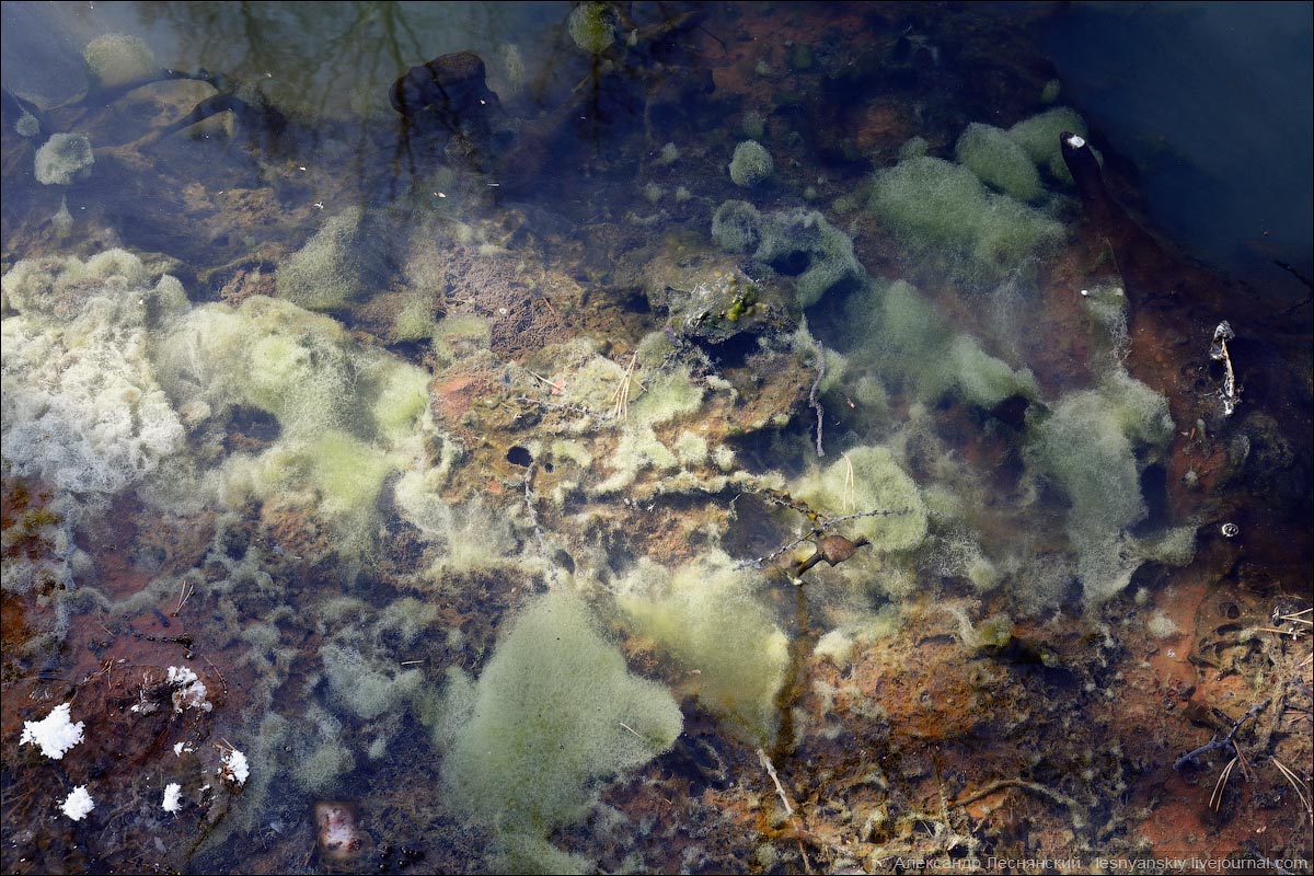 Пять физических состояний воды Уакита . Бурятия. Россия дальние дали