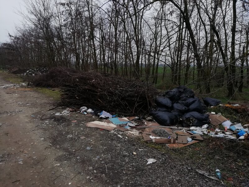 Про мусорный коллапс в Краснодаре Про мусорный коллапс в Краснодаре