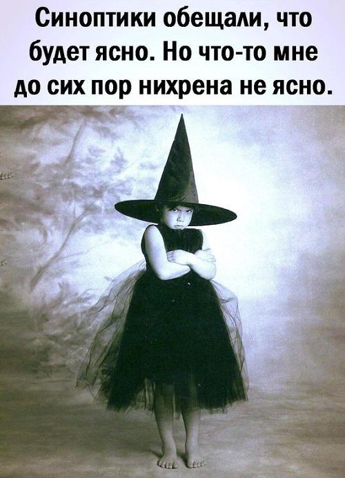 Самые лучшие забавные картинки Самые лучшие забавные картинки