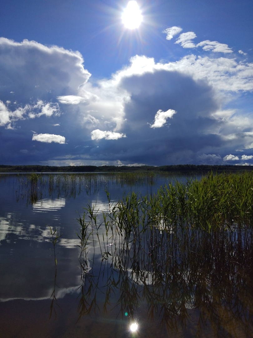 Природа России 36