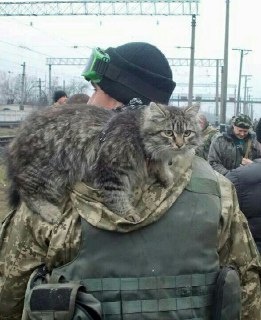 Влияние реальных боевых действий на game expirience ветерана из первых уст война,жизнь,Игры