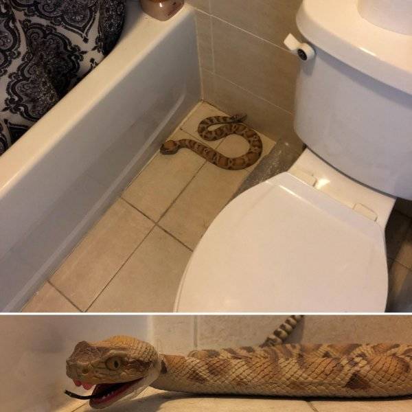 Подборка прикольных картинок Подборка прикольных картинок картинки