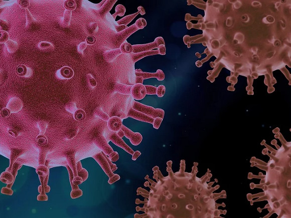 ВОЗ: У переболевших COVID-19 тесты на антитела не выявили иммунитет