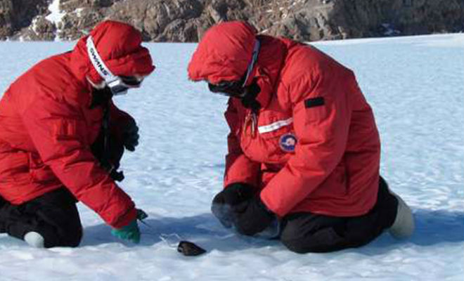Находки ученых во льдах: снег отступил и разморозил артефакты антарктида,артефакт,ледник,наука,Находки ученых во льдах,Пространство